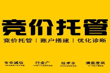 SEM服务公司助力企业品牌推广案例